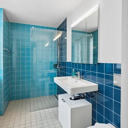 Flat: & Convenience 苏黎世