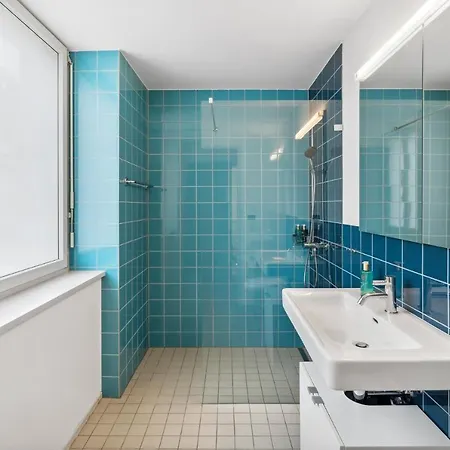 Apartment Flat: & Convenience Zurich